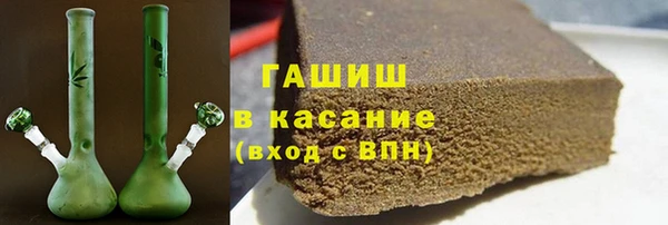 хмурый Аркадак