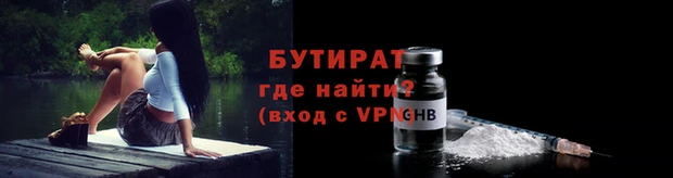 хмурый Аркадак