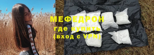 хмурый Аркадак