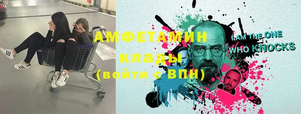 хмурый Аркадак