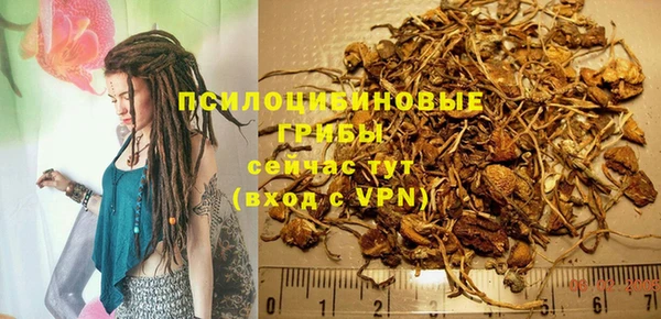 мяу мяу мука Арсеньев